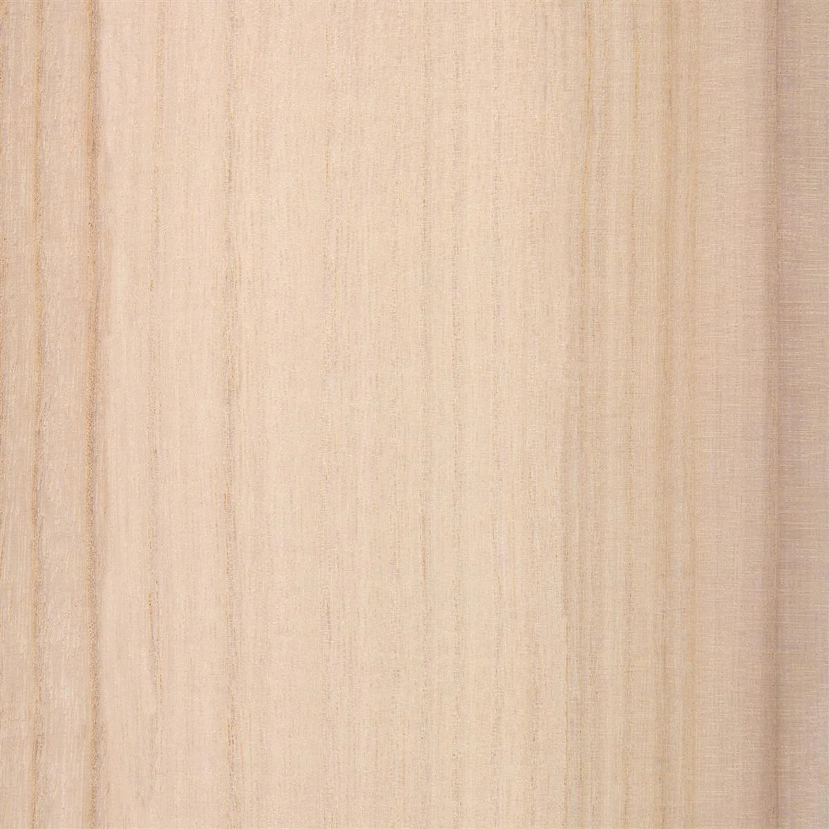 Slingshot Copycat Pro 2025